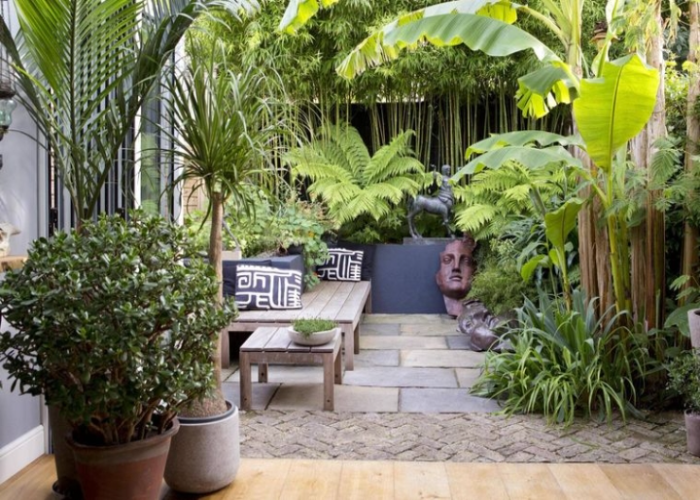 Adding Edible Plants for a tropical feel