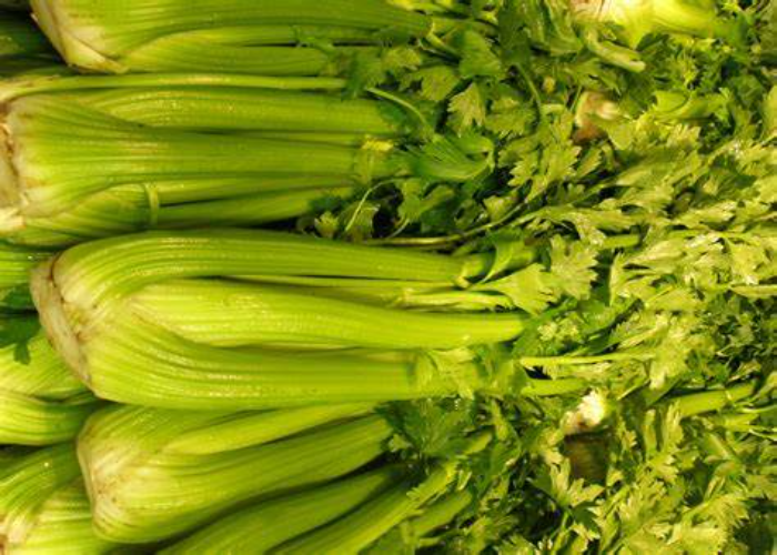 Celery