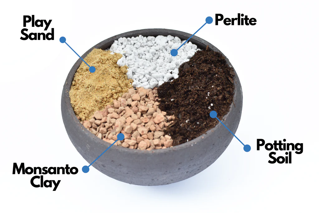 Components of Cactus Soil