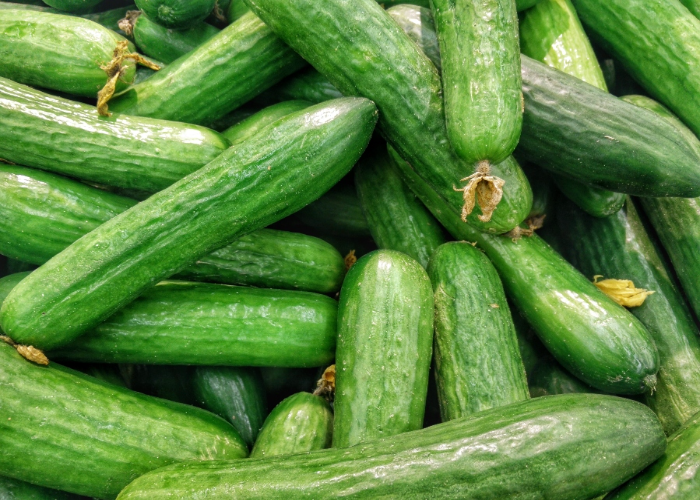 Cucumber