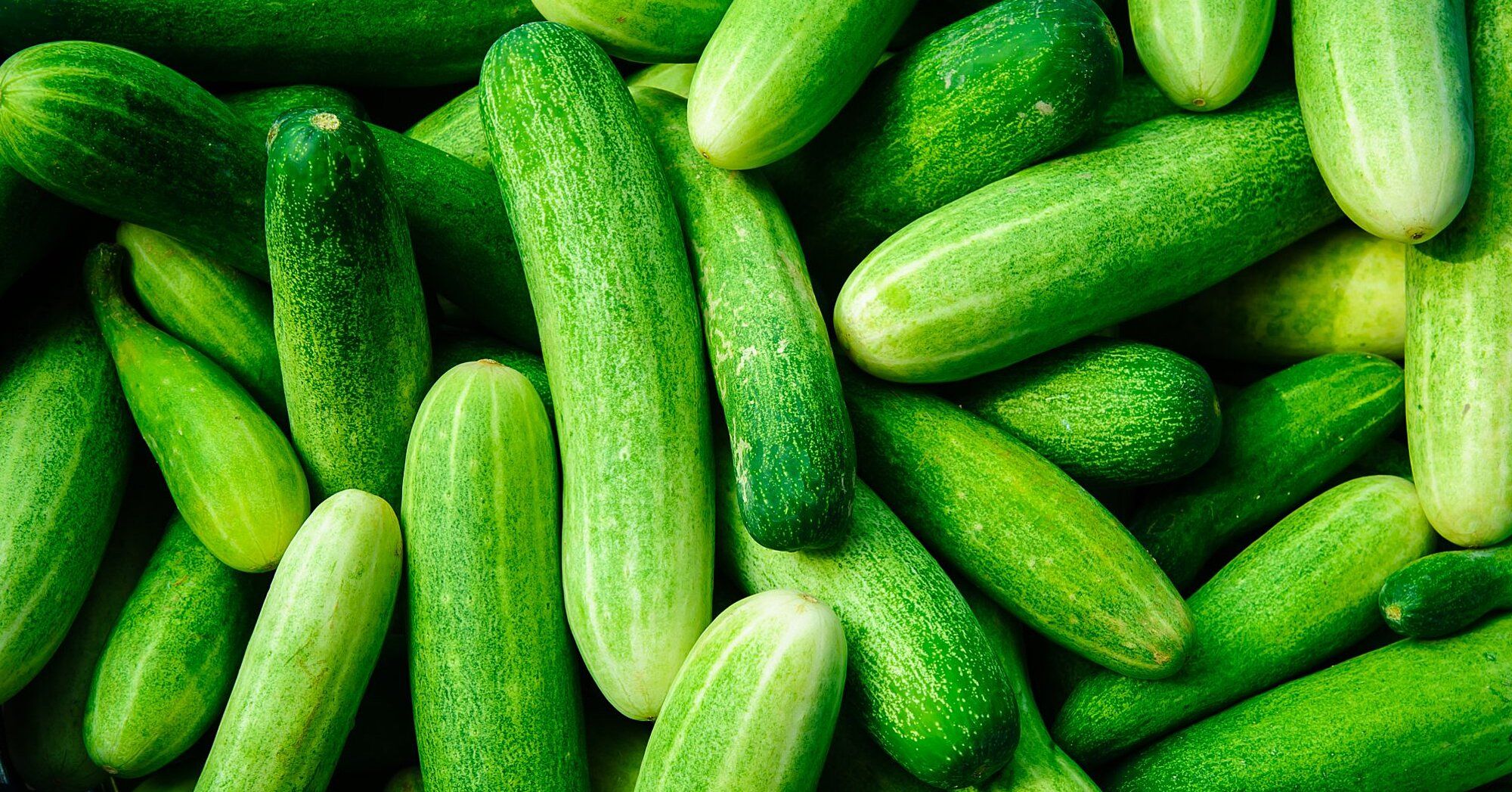 Cucumbers