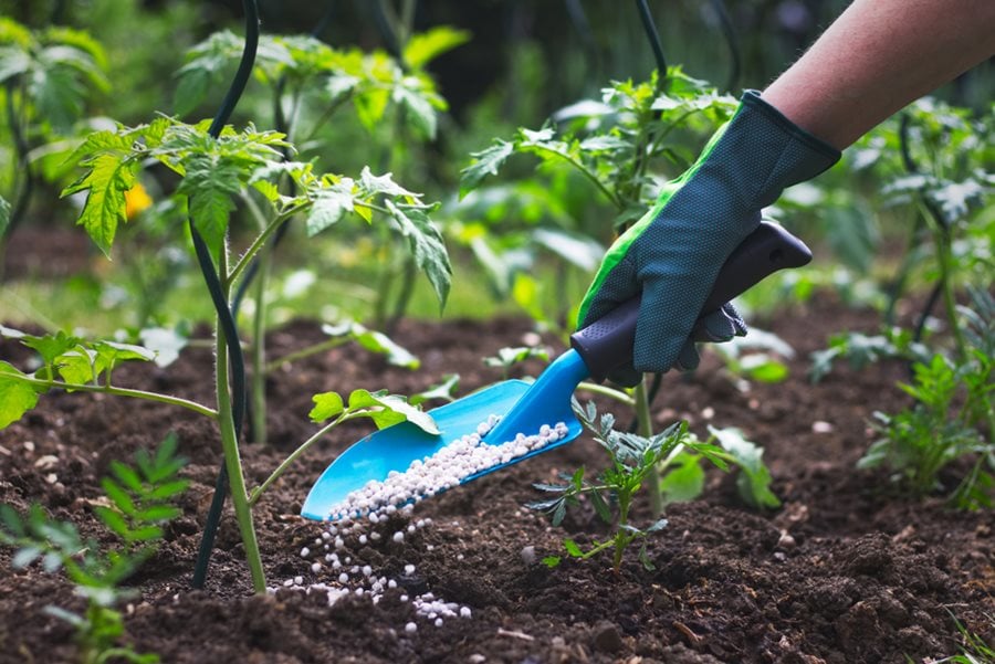 Fertilizing