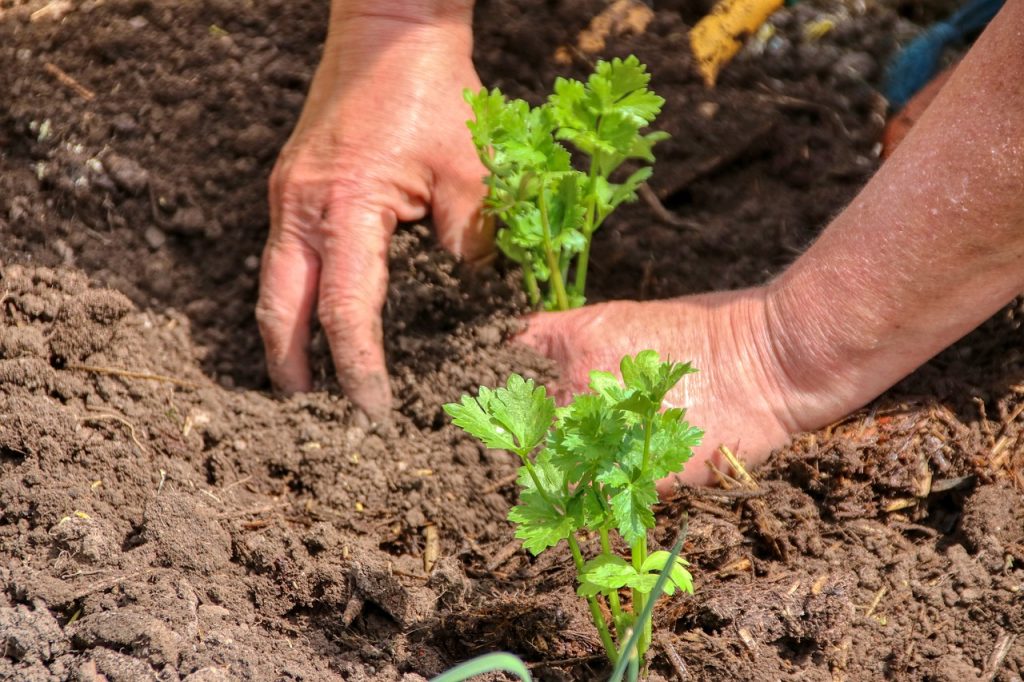 How To Break Up Clay Soil Magazine