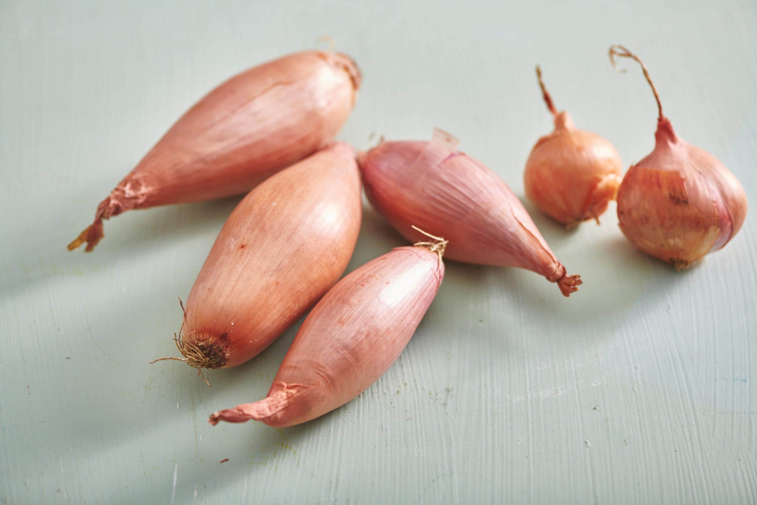 How To Grow Shallots