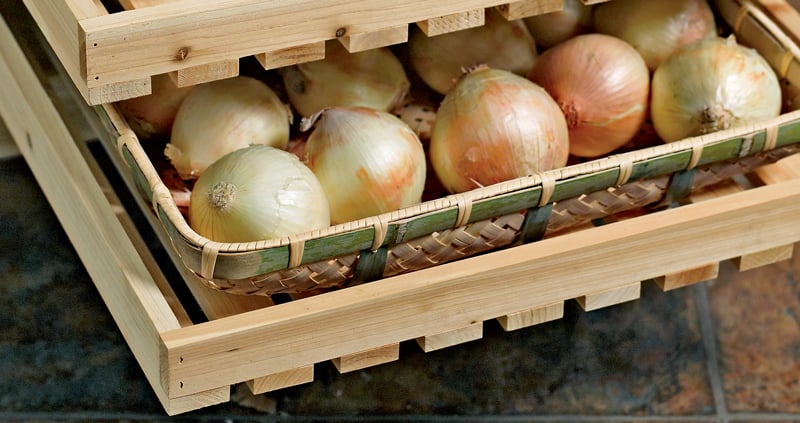 How To Harvest And Store Onions Correctly