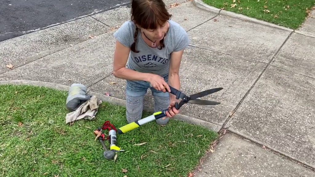 How to Sharpen Garden Hedge Trimmers