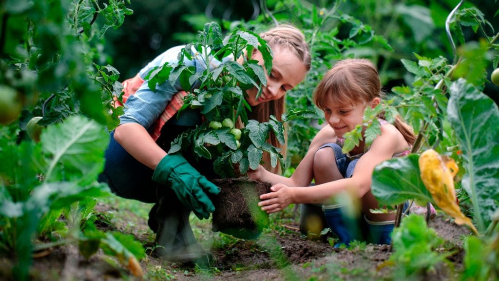 How to Compost for a Vegetable Garden