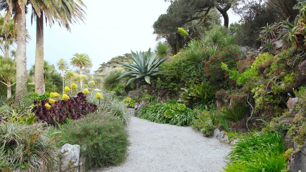 Layered Planting