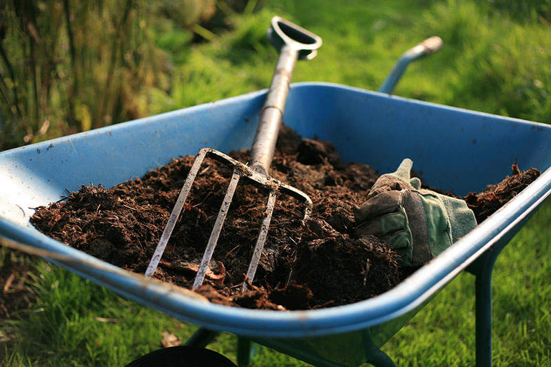 What Is Loam Based Compost? All You Need to Know