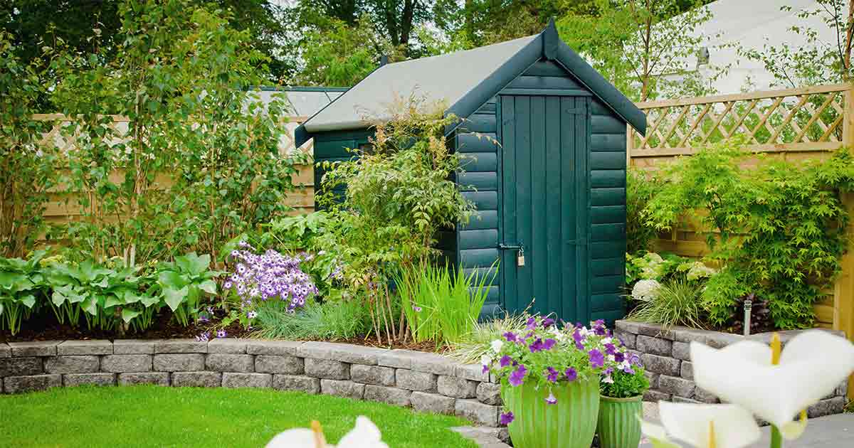Maintain Your Shed