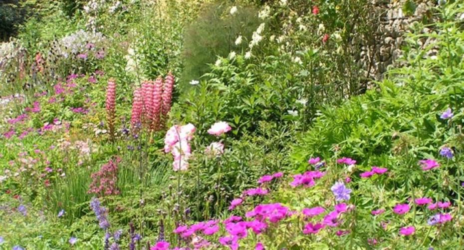 Maintaining Your Herbaceous Border Throughout the Year