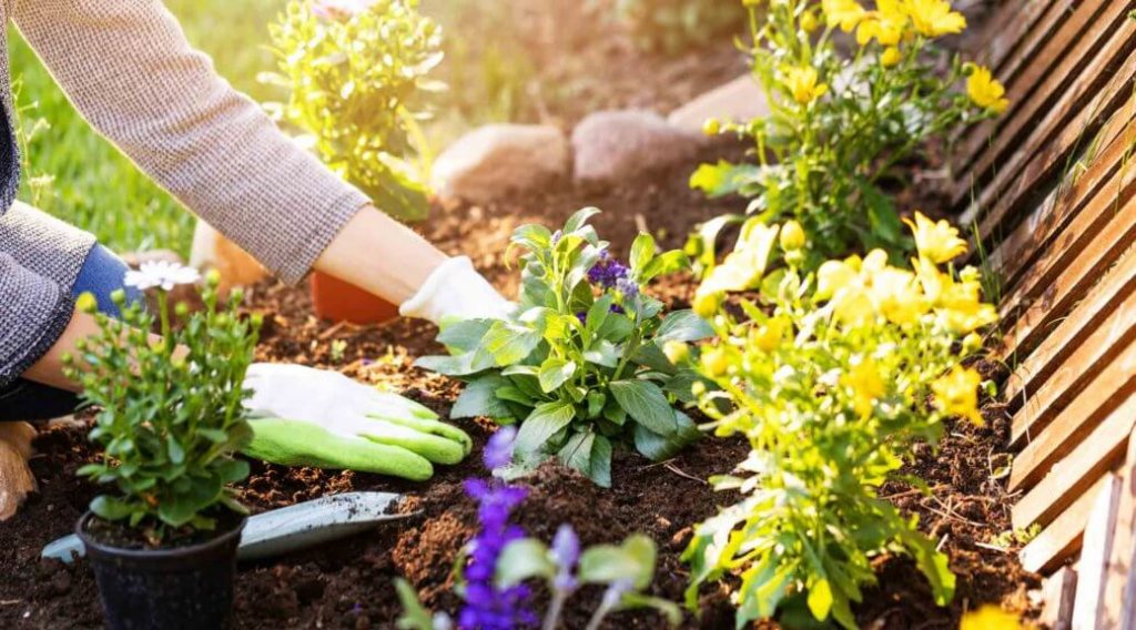 Maintaining the Garden