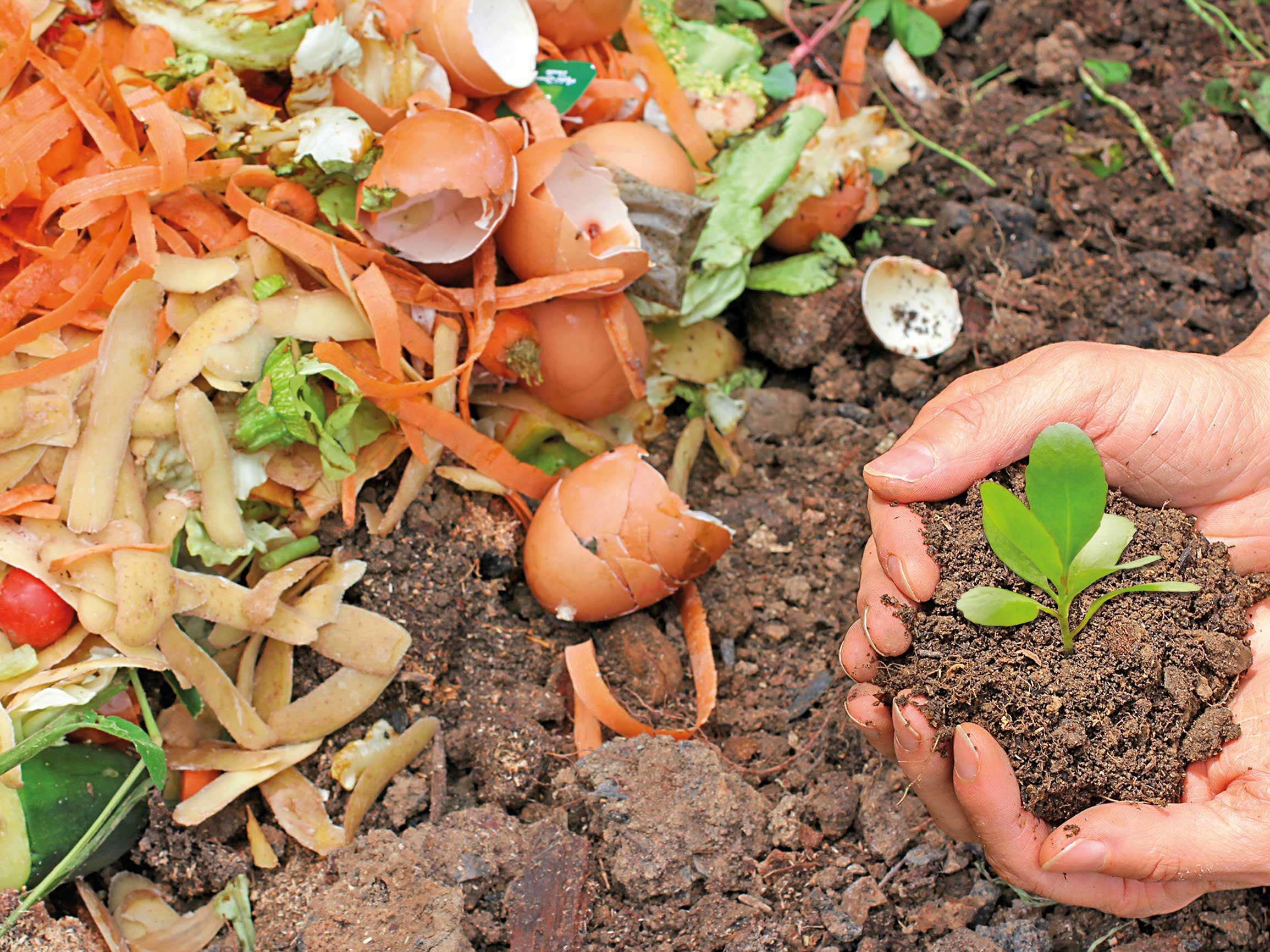 Make a Compost