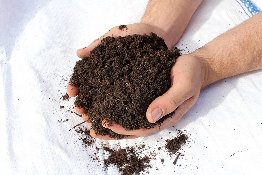 Overview of Ericaceous Compost