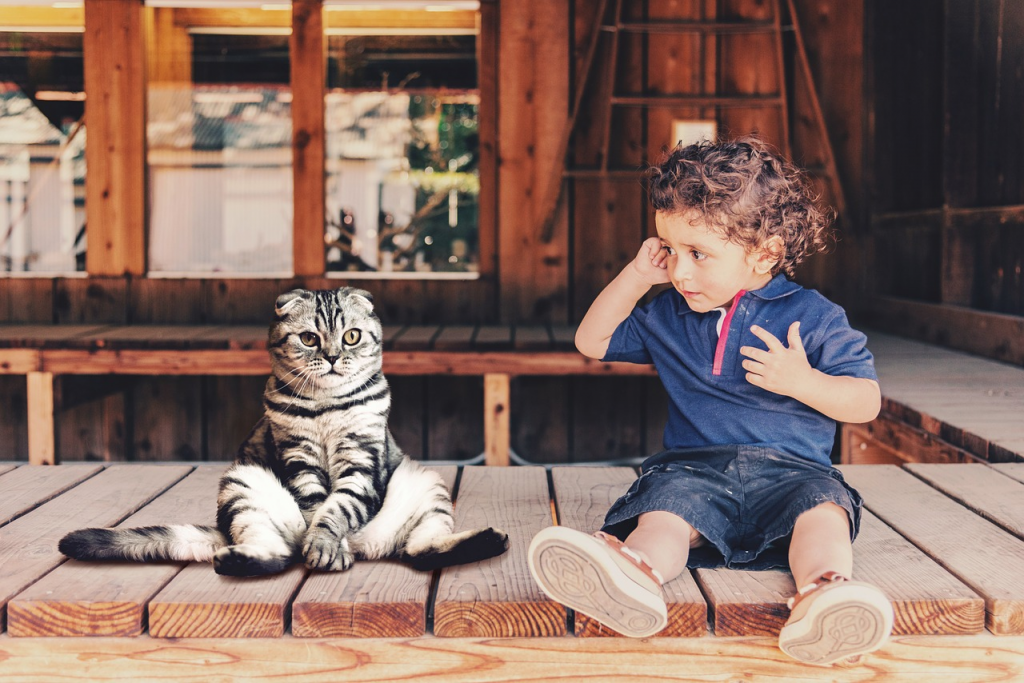 Four Reasons Why High Gloss Laminate Flooring Is Ideal for Families with Children and Pets