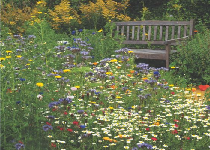 10 Simple Steps to Creating a Small yet Stunning Meadow Garden - TheArches