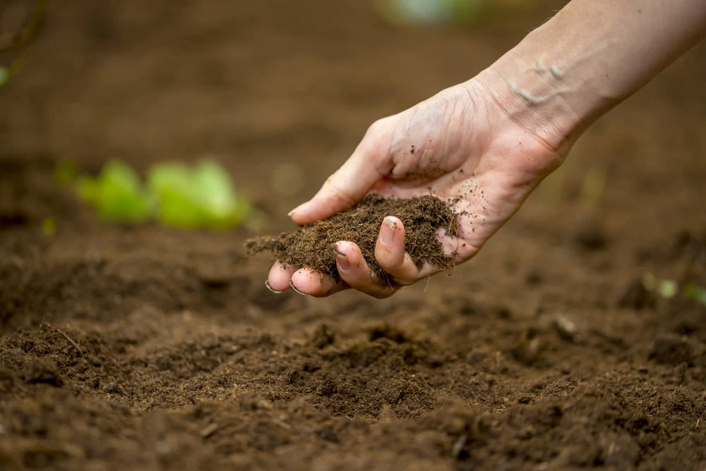 Preparation of Soil