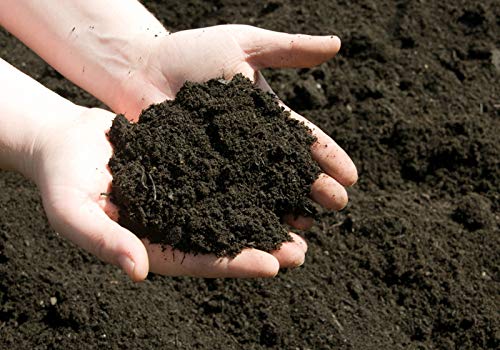 Select the Soil that Supports Growth
