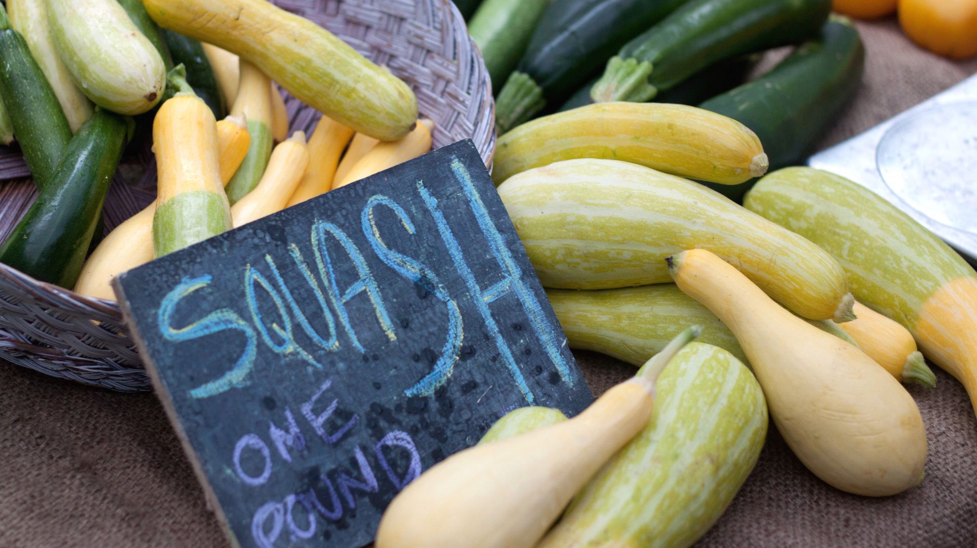 Summer Squash