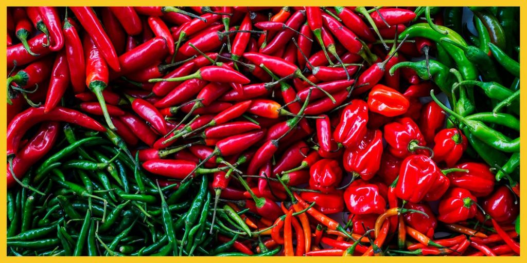 Tasty Chilli Varieties Ordered By Heat