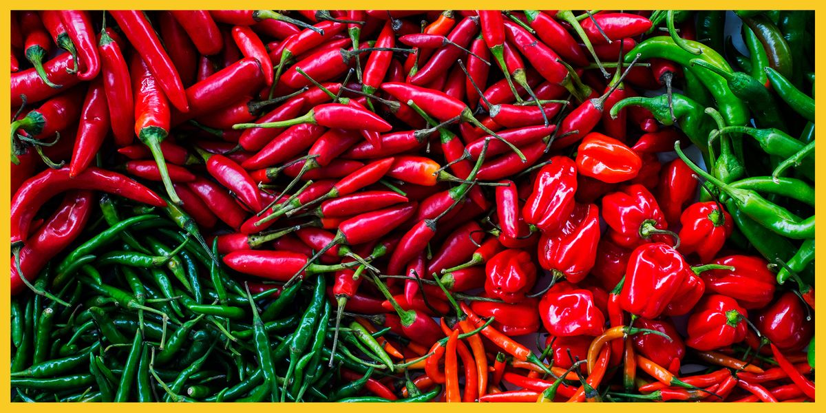 11 Tasty Chilli Varieties by Heat Ranked: From Mild to Wild