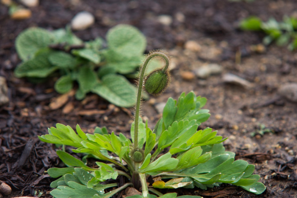 Test Your Soil