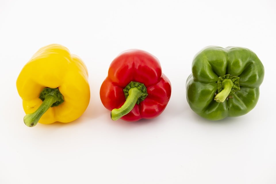 The Capsicum or Bell Pepper Plant