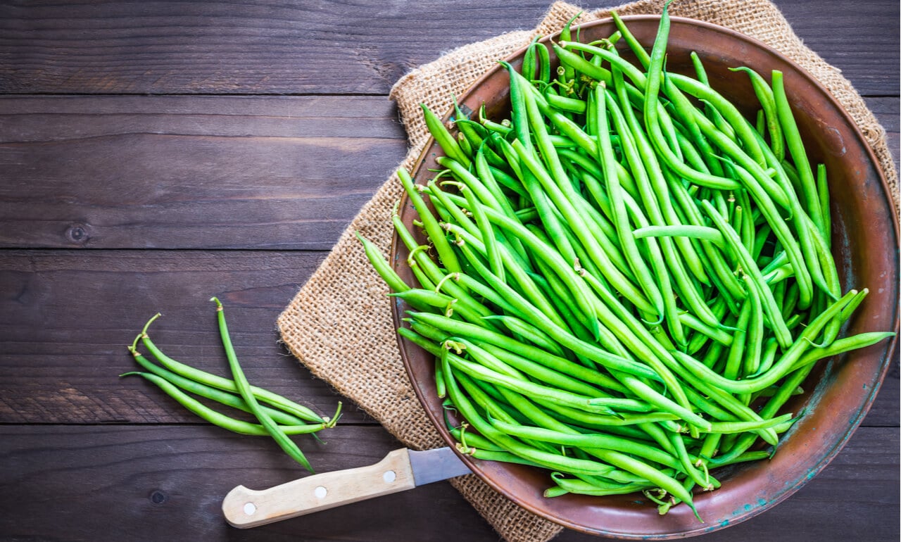 grow-french-beans-easily-from-seed-a-step-by-step-guide-the-arches