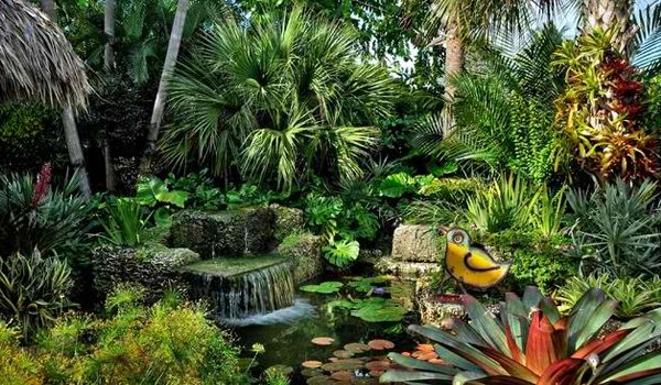 Tropical Garden Ideas For The UK