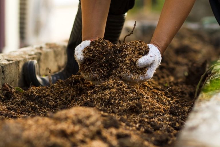 What Is Loam-Based Compost