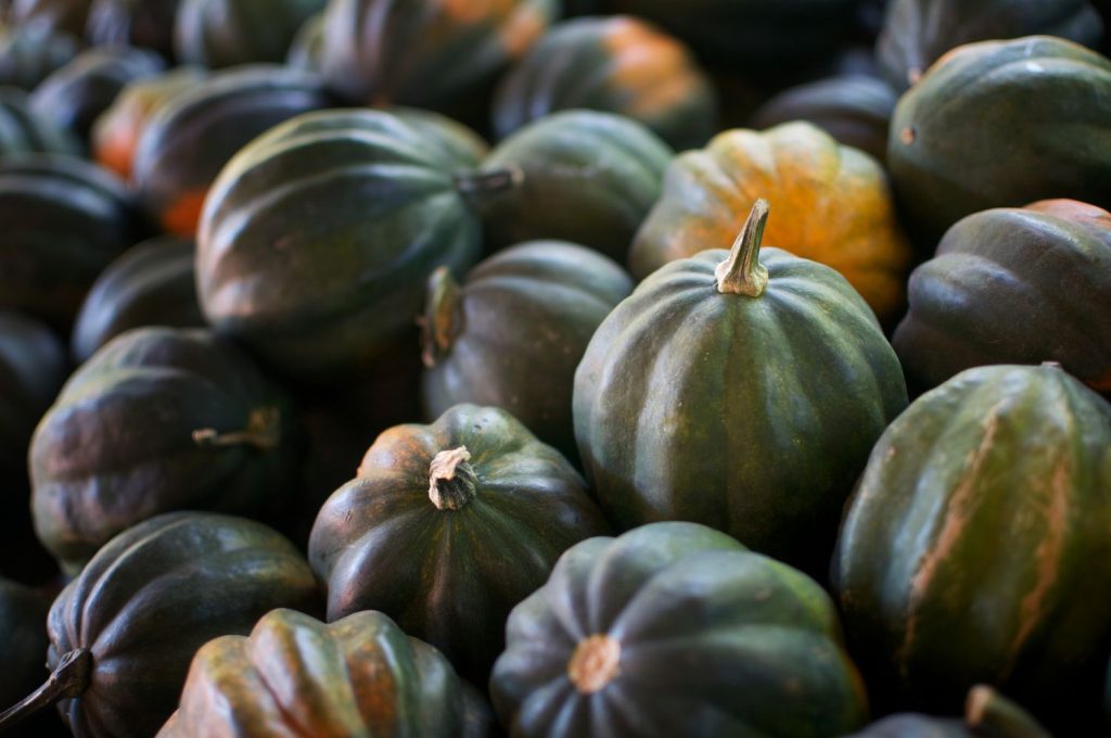 Winter Squash