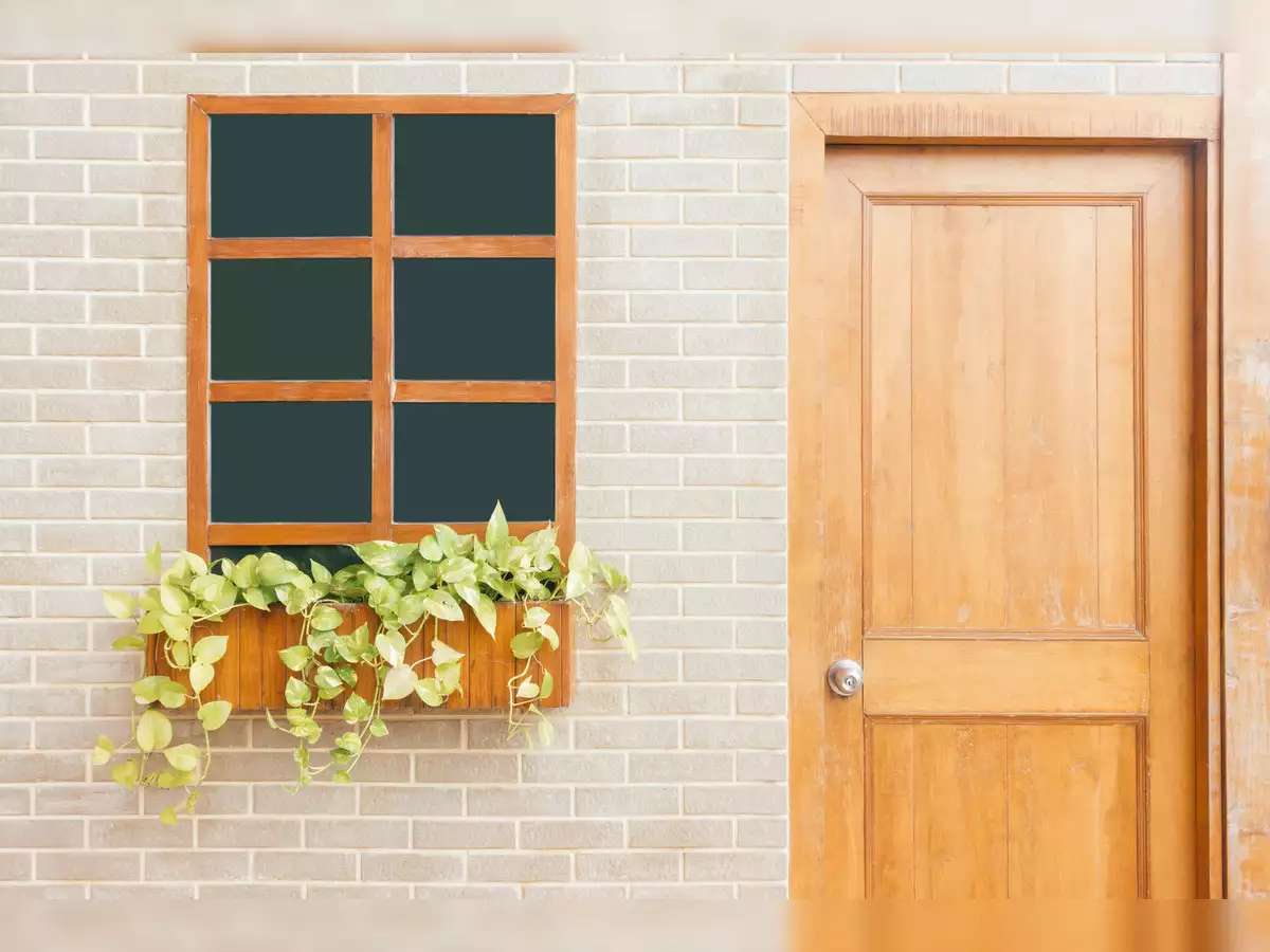 The Aesthetic Appeal of Timber Doors