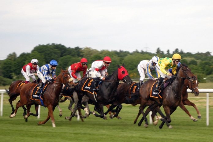What Does the Annual Upkeep Involve Maintaining a Racing Venue Like Cheltenham Racecourse?