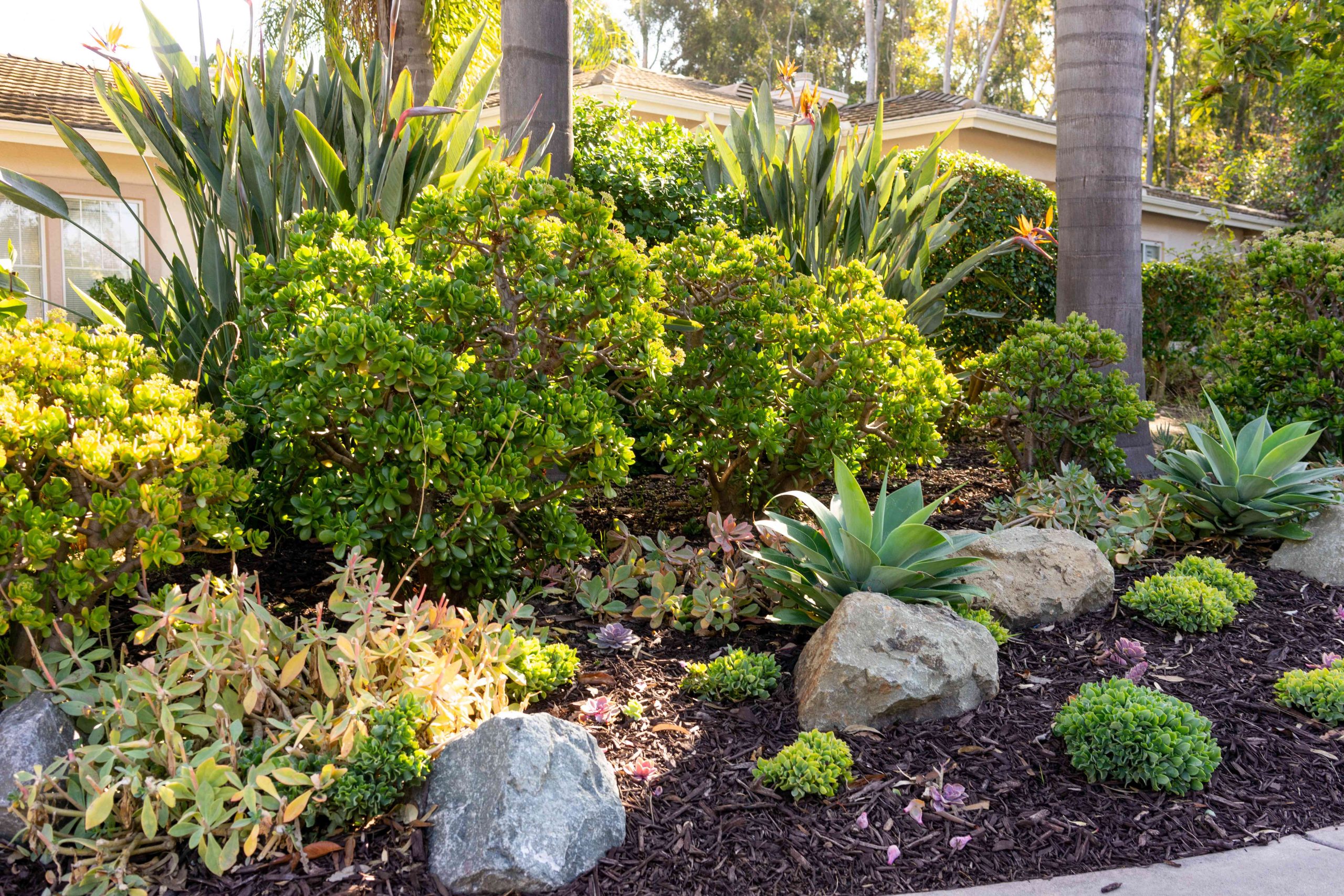 Cost-Effective Landscaping Solutions Tailored to Climate and Terrain