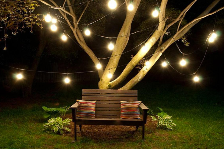 Light Up Your Garden with Outdoor Tree Lighting Ideas