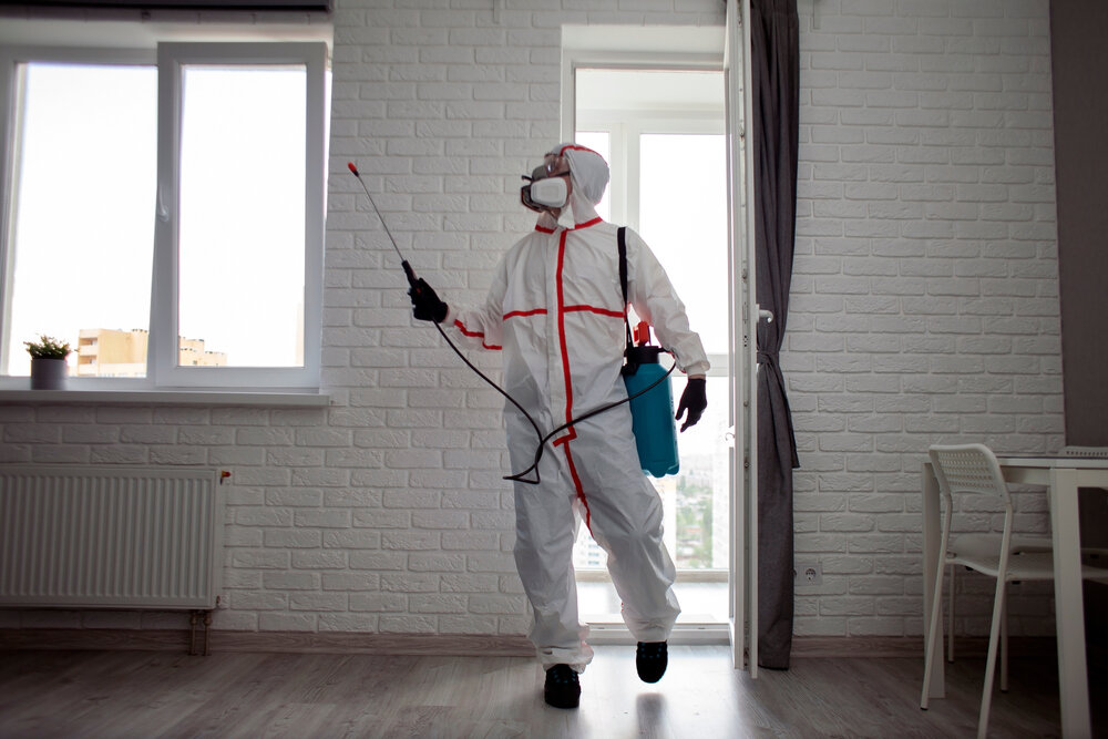 Why Insulation Services Are Useful For Pest Control