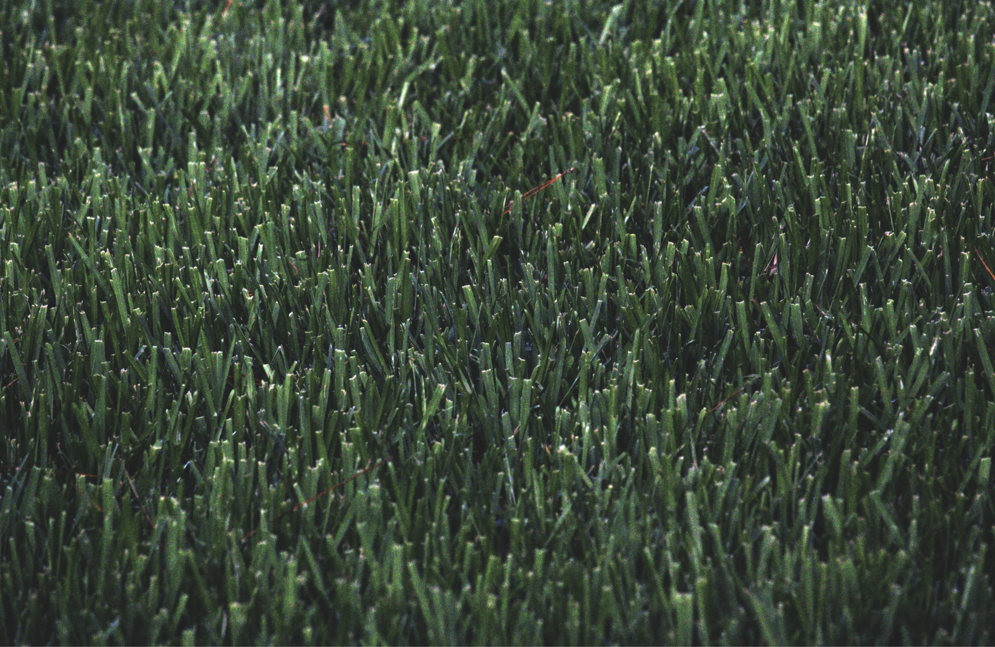 The Comprehensive Guide to Artificial Turf Installation