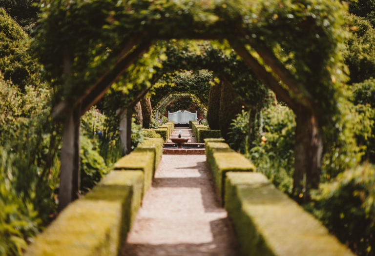 Bringing Natural Beauty to Your Yard: Landscaping with Native Hedging Plants