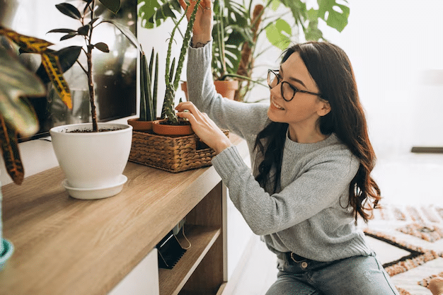 Secrets to Thriving Indoor Plants